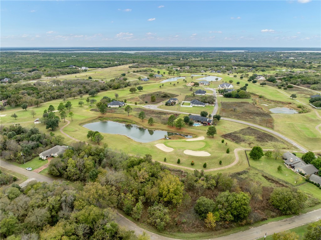 22064 Greenbriar Drive, Whitney, Texas image 3