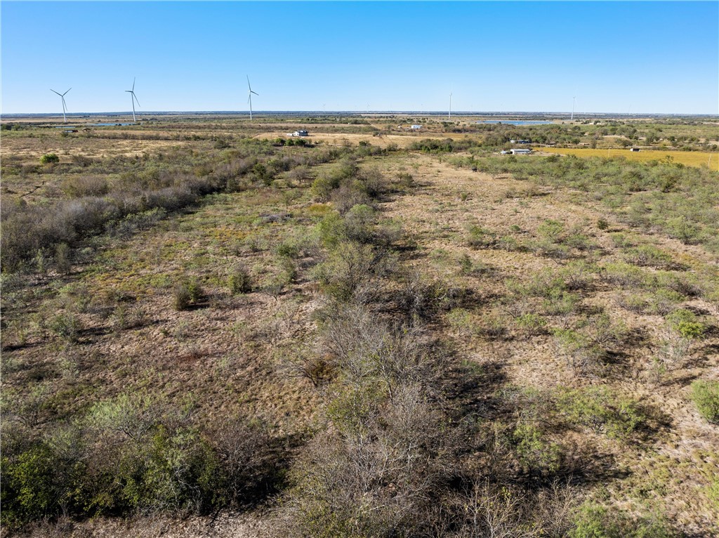 TBD Hwy 171 Highway, Coolidge, Texas image 9