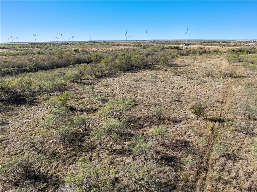 TBD Hwy 171 Highway, Coolidge, Texas image 10