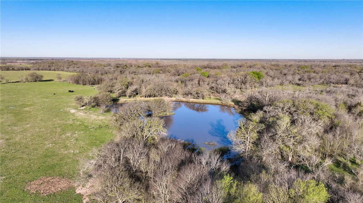 TBD Cr 223 Road, Marlin, Texas image 6