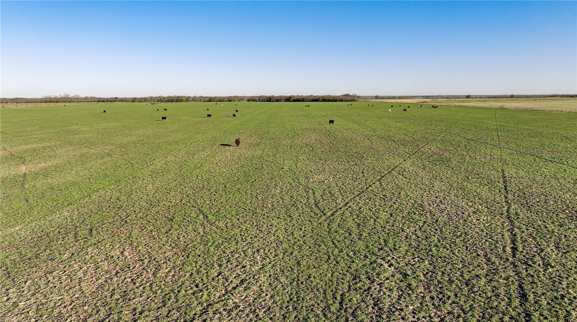 TBD Cr 223 Road, Marlin, Texas image 11