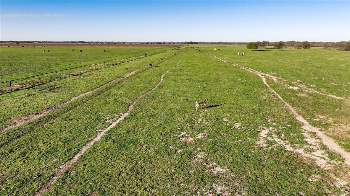 TBD Cr 223 Road, Marlin, Texas image 12