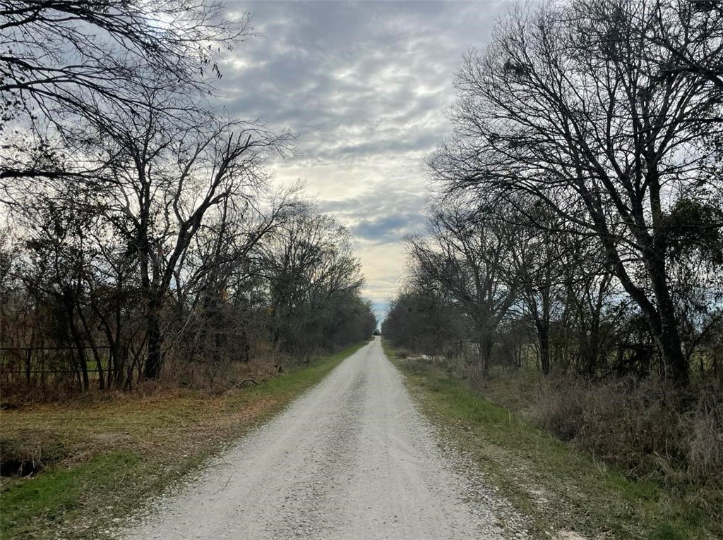 243 W Hwy 7 Road, Kosse, Texas image 4