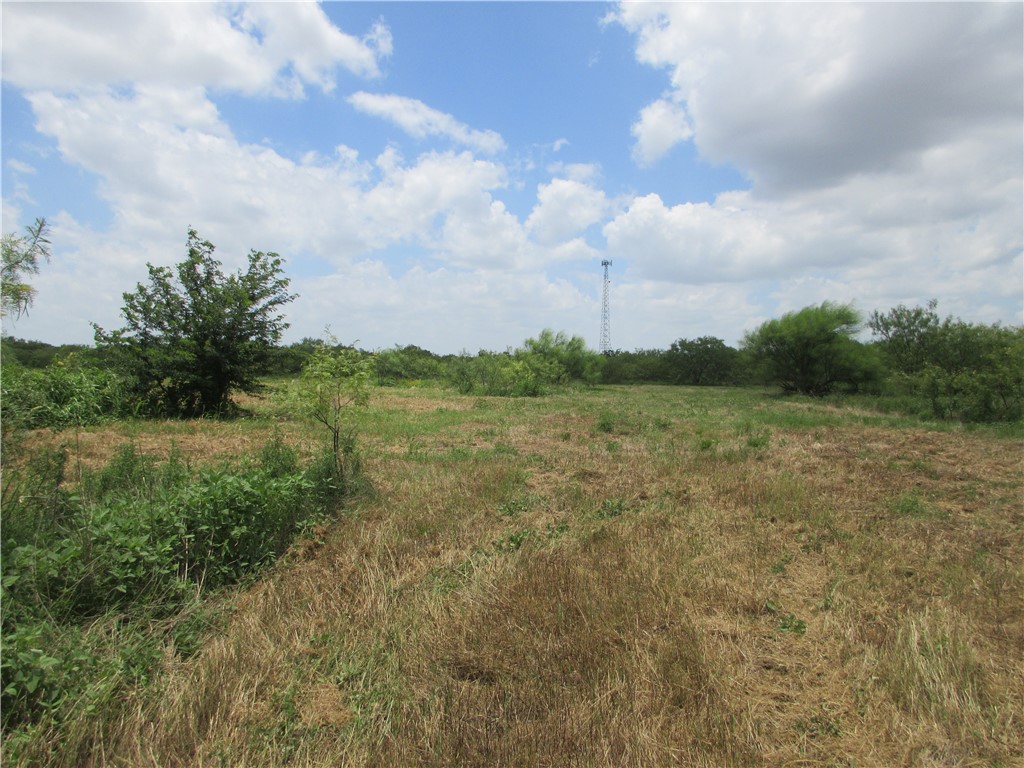 00 Roosevelt Street, Marlin, Texas image 7