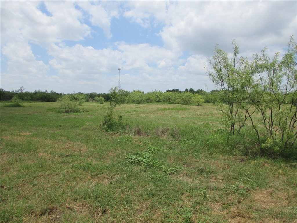 00 Roosevelt Street, Marlin, Texas image 9