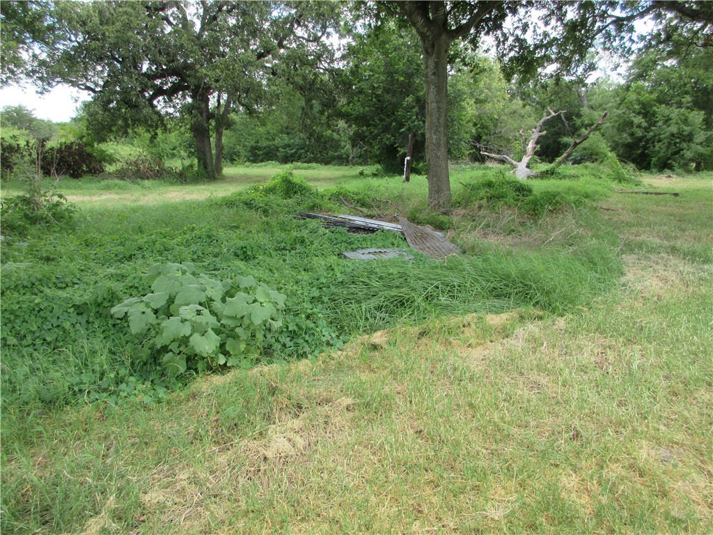 00 Roosevelt Street, Marlin, Texas image 4