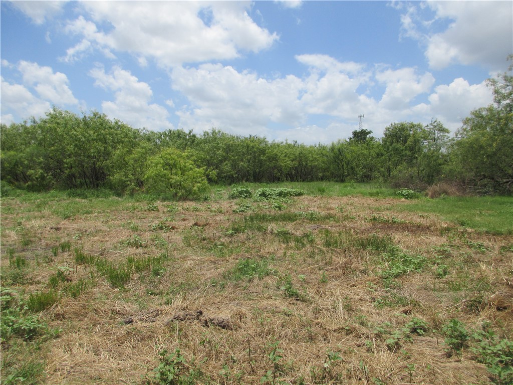 00 Roosevelt Street, Marlin, Texas image 6