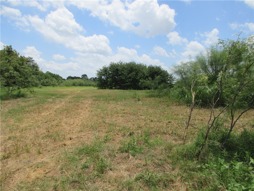 00 Roosevelt Street, Marlin, Texas image 8