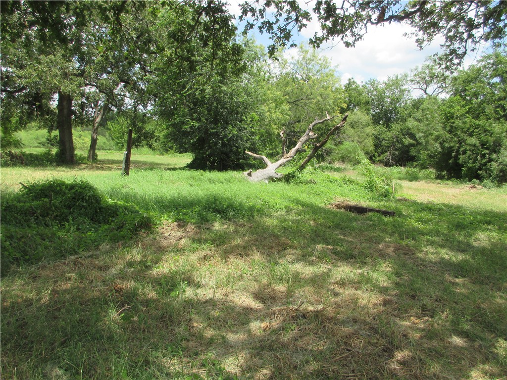 00 Roosevelt Street, Marlin, Texas image 1