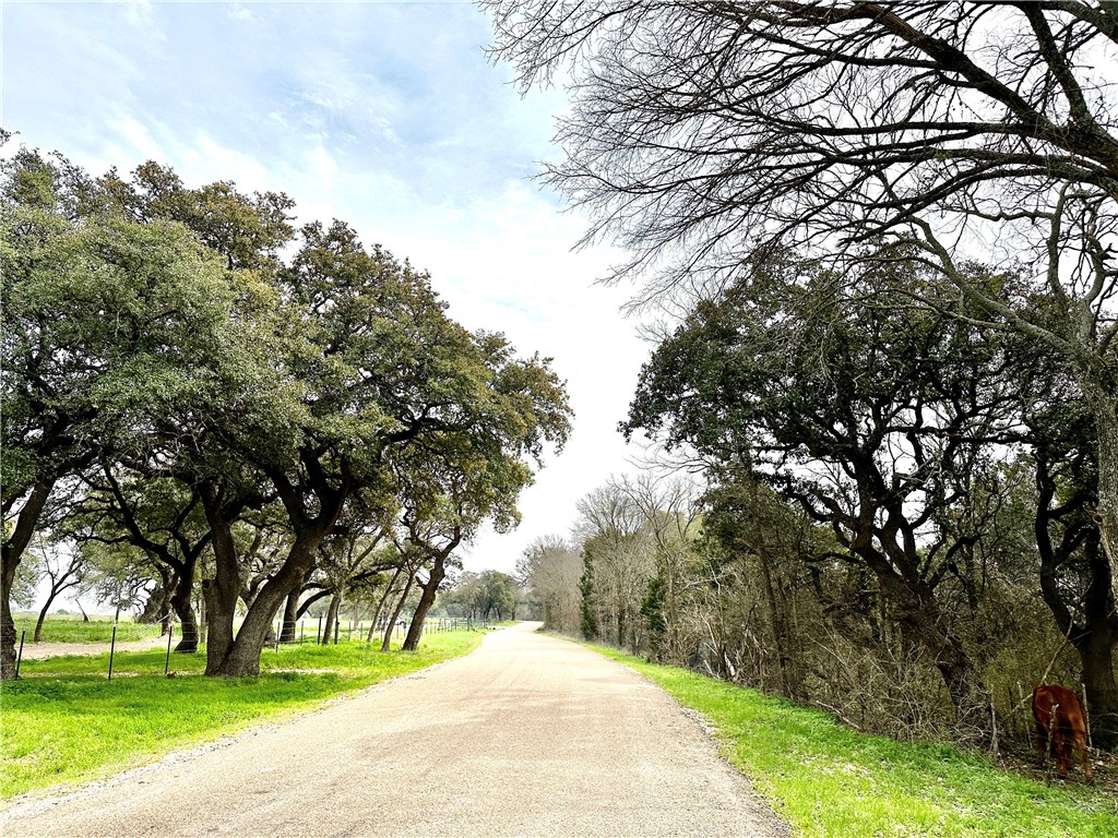 Sunset Ranch Tract 6-7 Cr 356 Road, Gatesville, Texas image 7