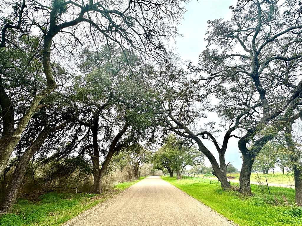 Sunset Ranch Tract 6-7 Cr 356 Road, Gatesville, Texas image 6