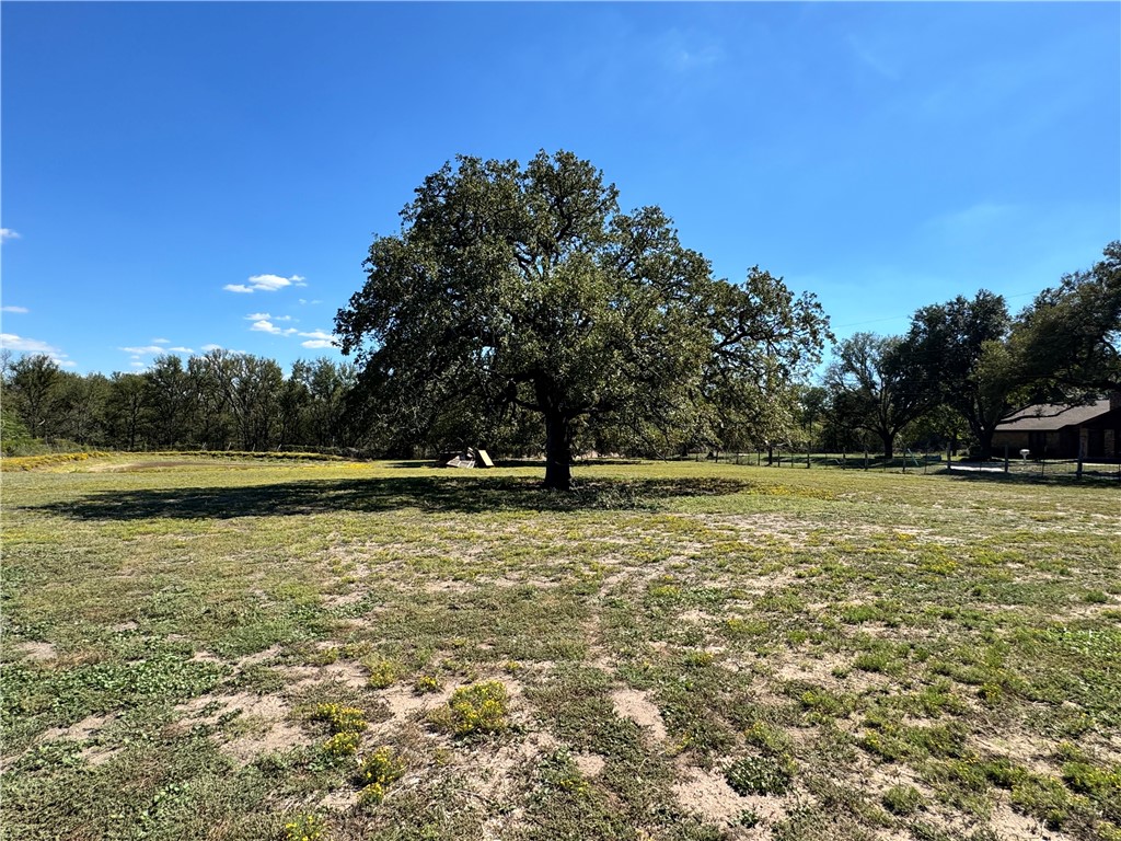 207 S Hedwig Street, Riesel, Texas image 10