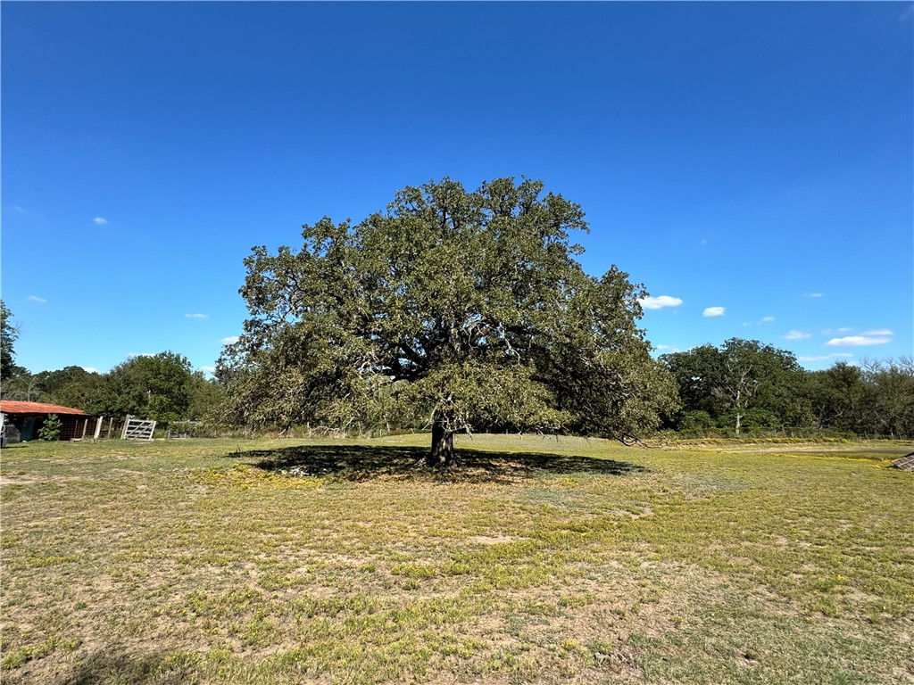 207 S Hedwig Street, Riesel, Texas image 1