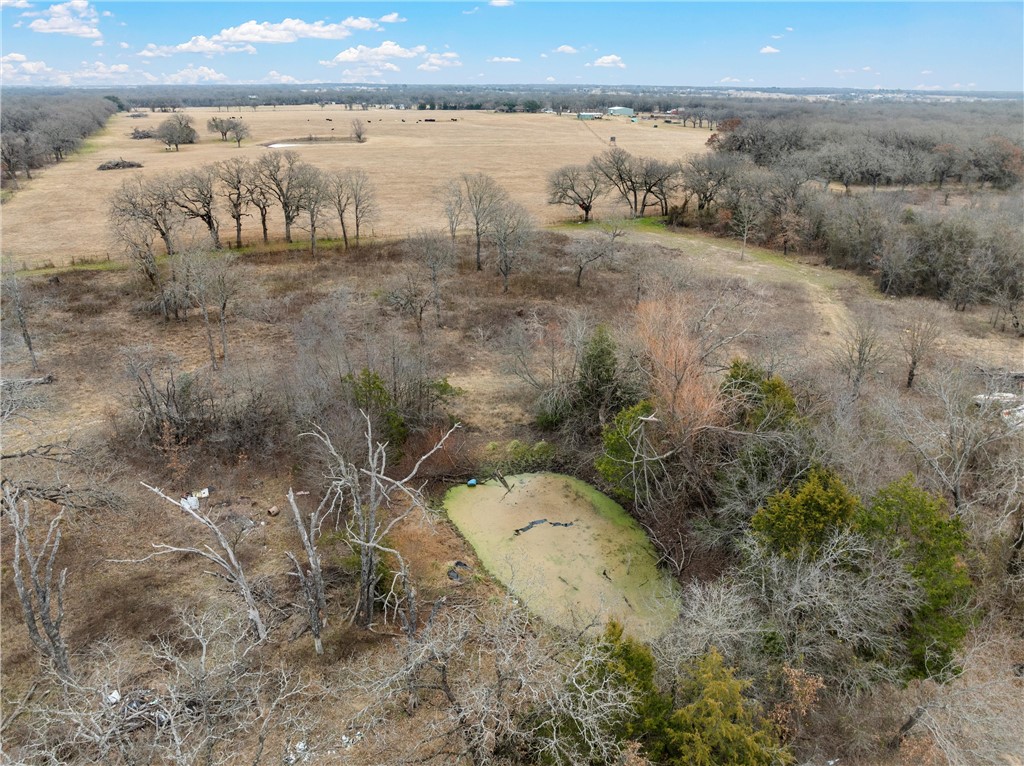 TBD Tokio Road, West, Texas image 8