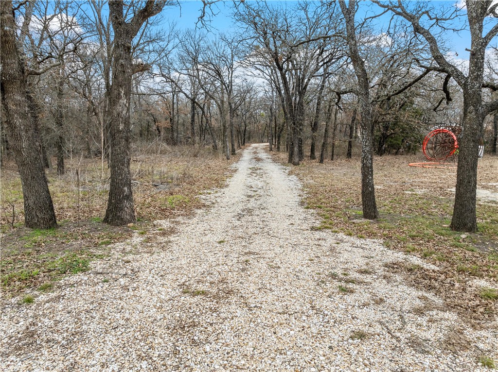 TBD Tokio Road, West, Texas image 1