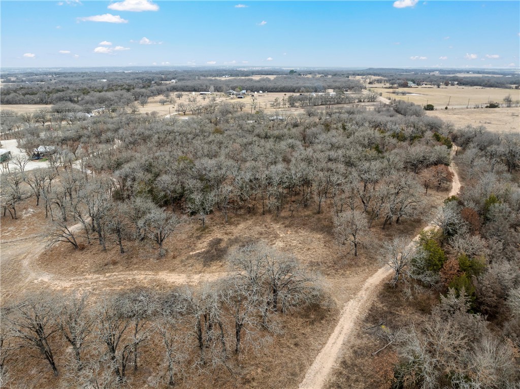 TBD Tokio Road, West, Texas image 4