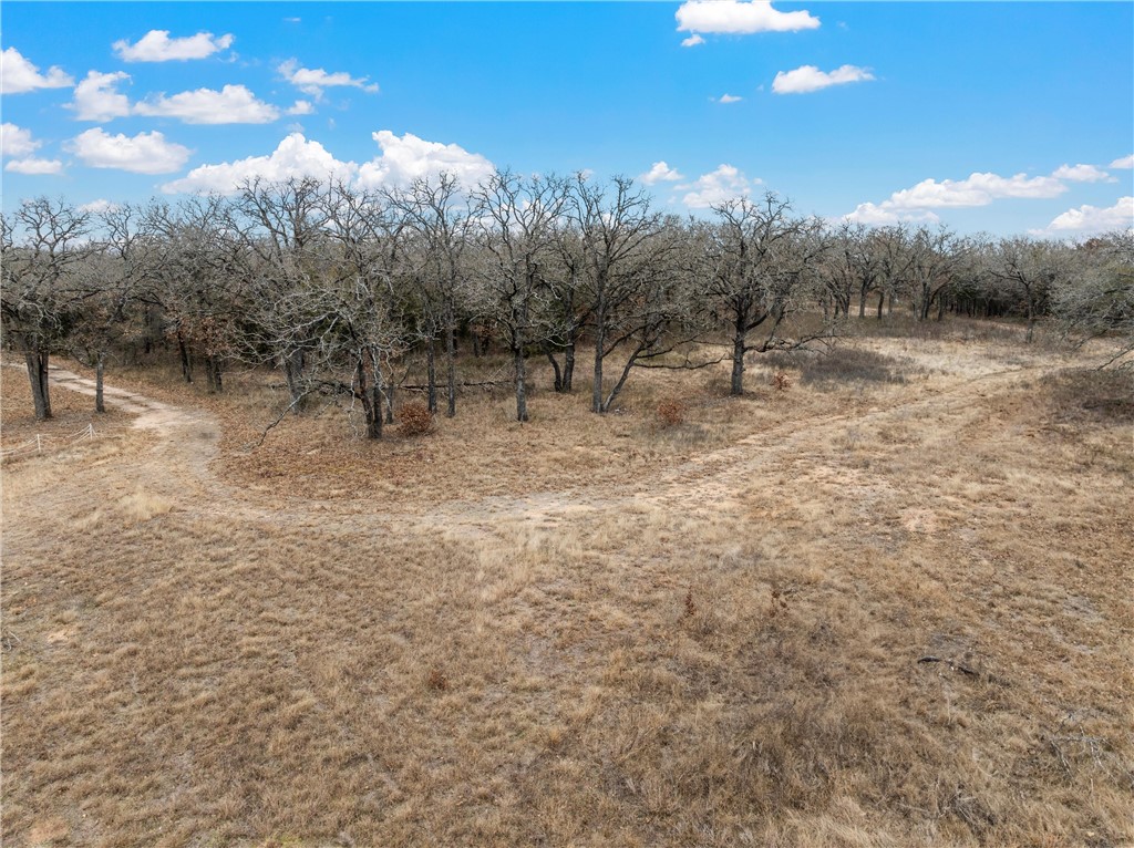 TBD Tokio Road, West, Texas image 2