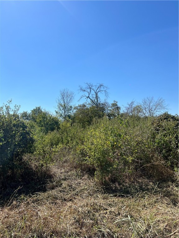 TBD S Seeley Avenue, Mount Calm, Texas image 1