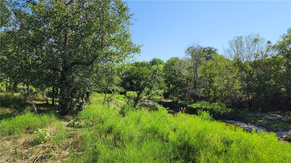 TBD Nicole Lane, Waco, Texas image 7