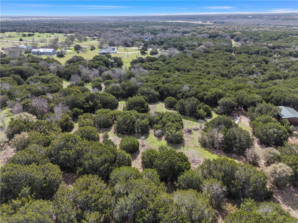 499 Benevolence Way Way, China Spring, Texas image 3