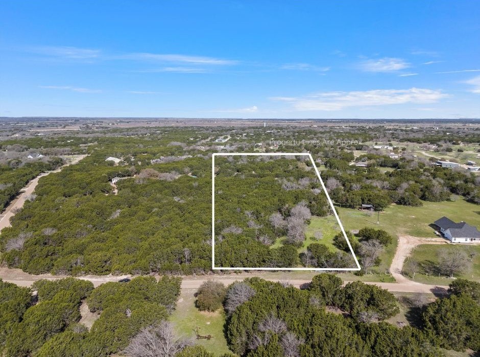 499 Benevolence Way Way, China Spring, Texas image 1