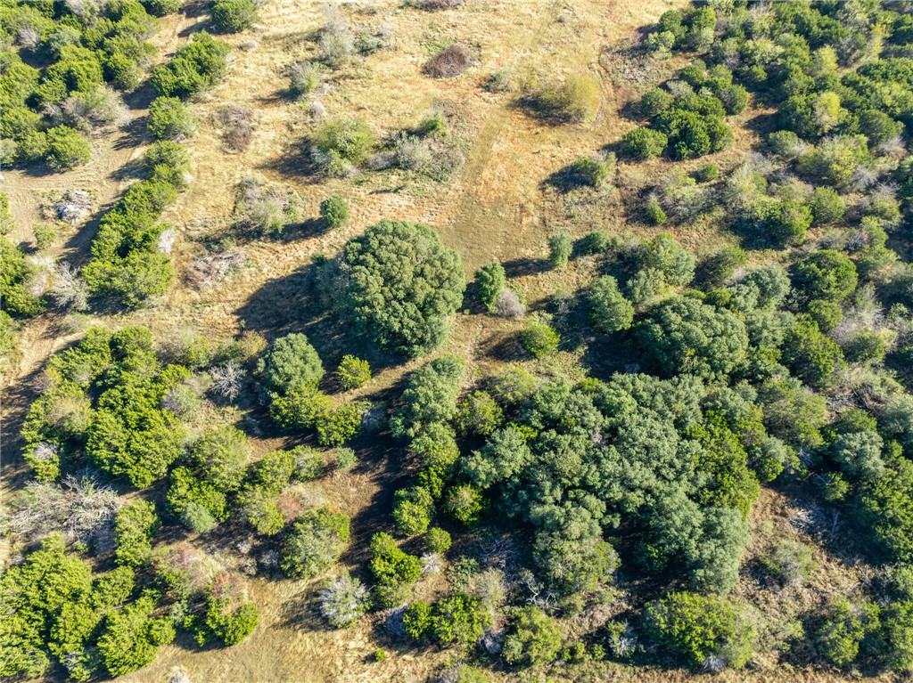 227 Pr 12488, Whitney, Texas image 32