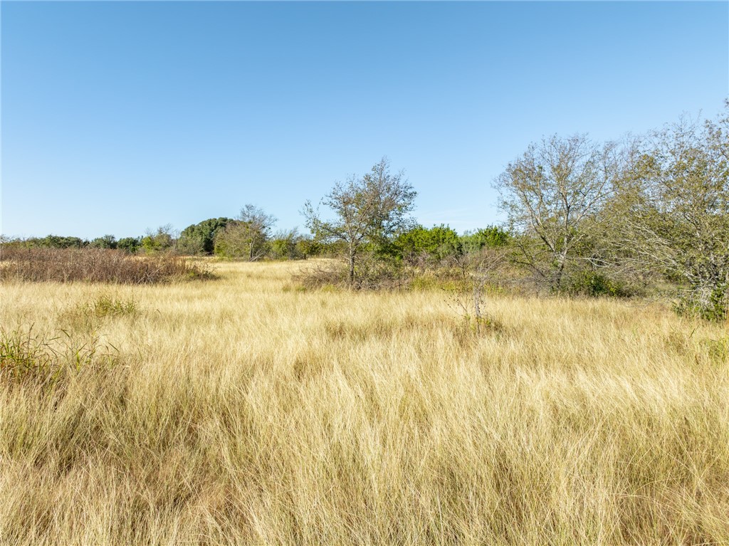 227 Pr 12488, Whitney, Texas image 18