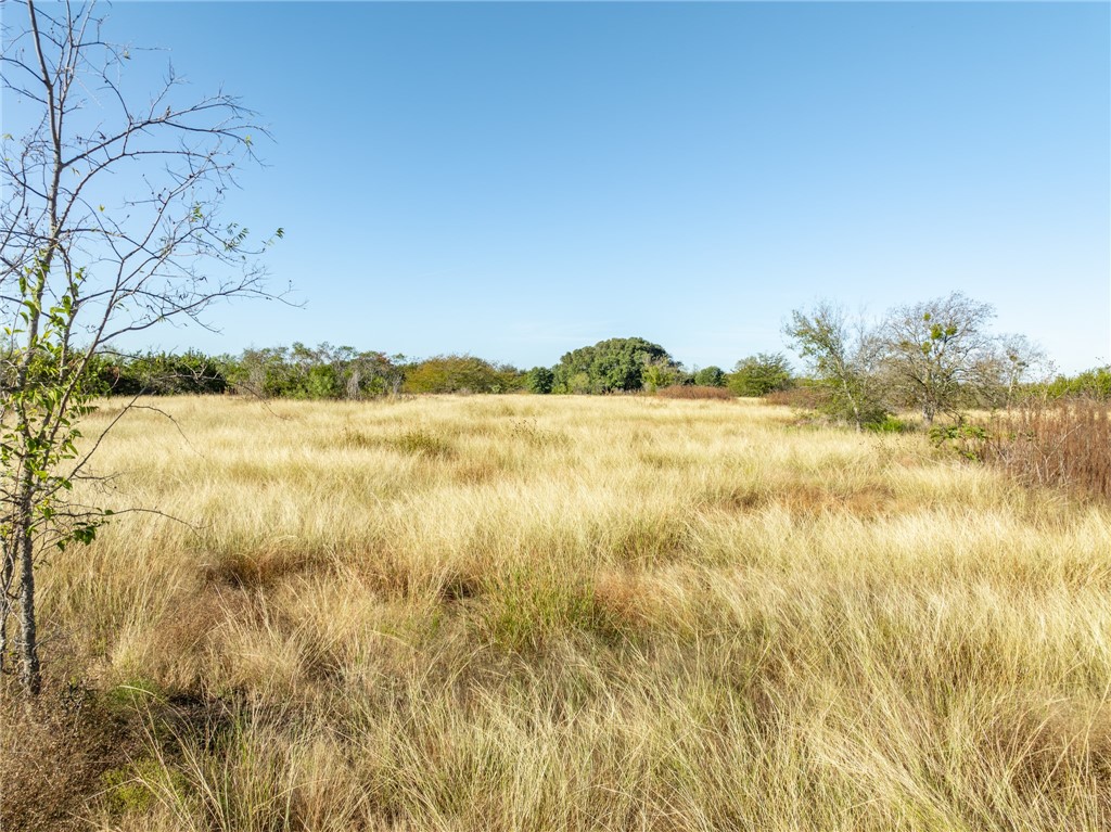 227 Pr 12488, Whitney, Texas image 22