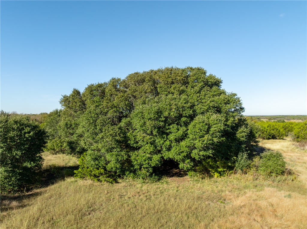 227 Pr 12488, Whitney, Texas image 36