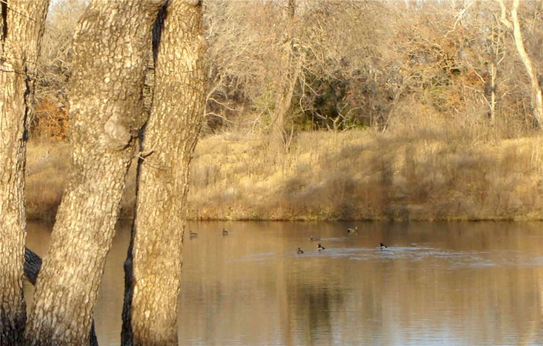 25+ Ac. Cr 102 Road, Axtell, Texas image 30