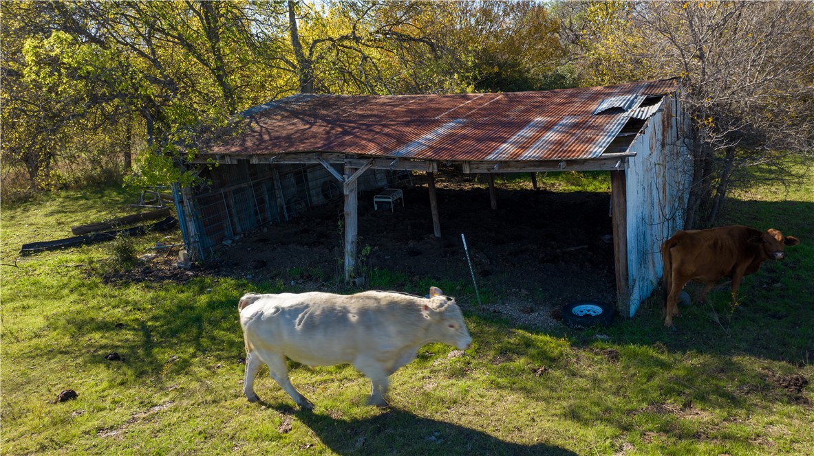 TBD +/- 7 Acres Patrick Pike Road, Ferris, Texas image 14