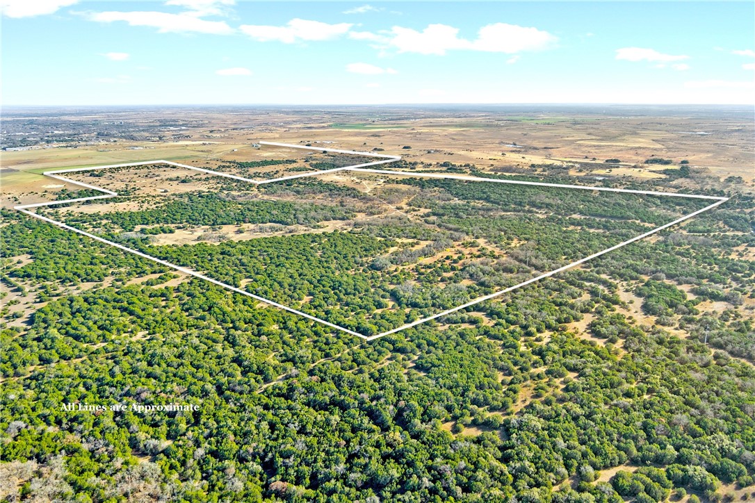 1782 Fm 218 Road, Hamilton, Texas image 4