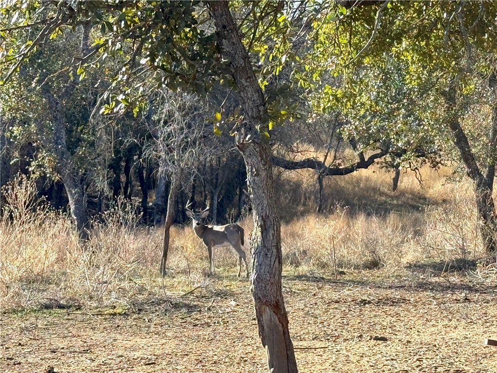 1782 Fm 218 Road, Hamilton, Texas image 35