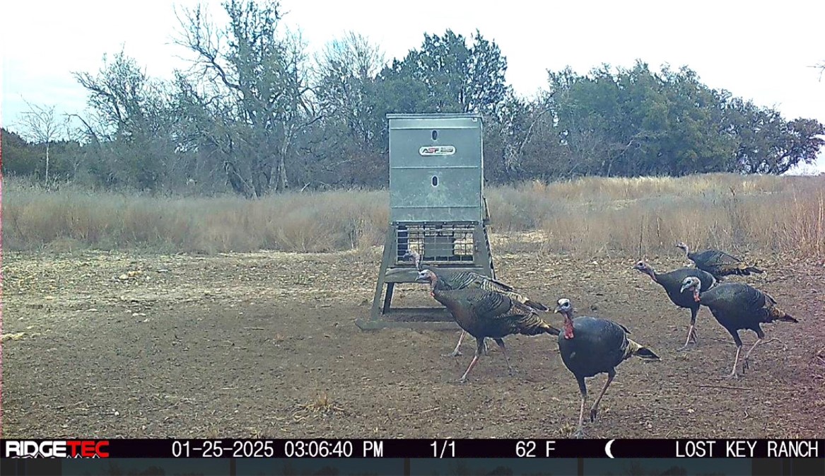 1782 Fm 218 Road, Hamilton, Texas image 39