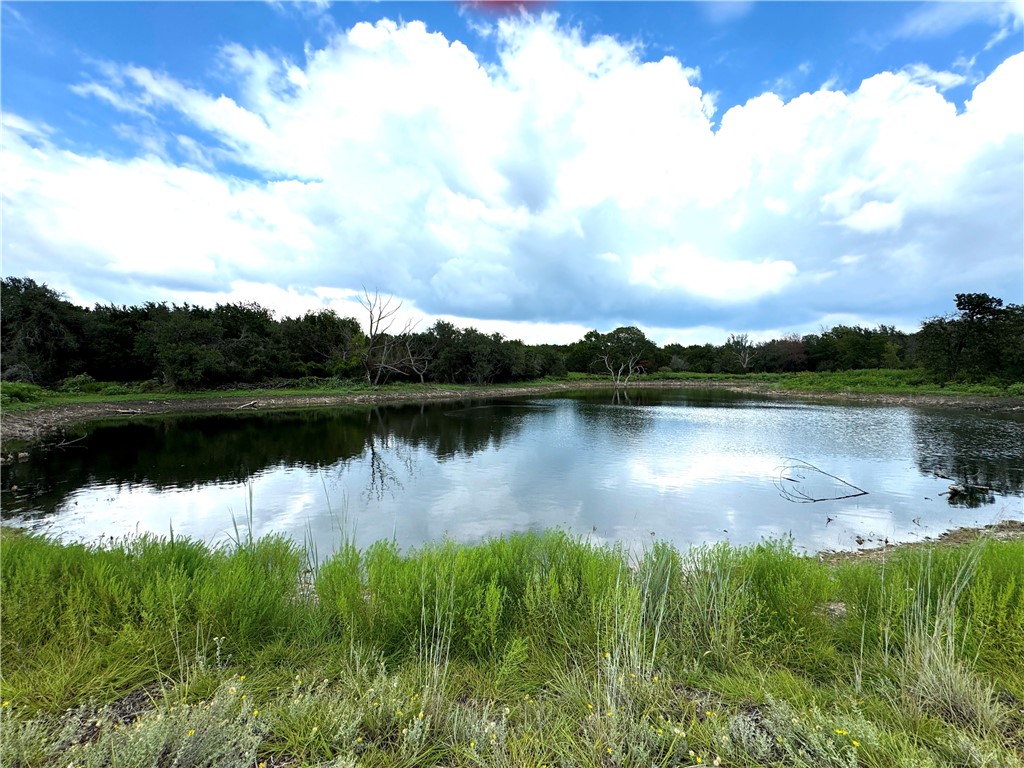 1782 Fm 218 Road, Hamilton, Texas image 49