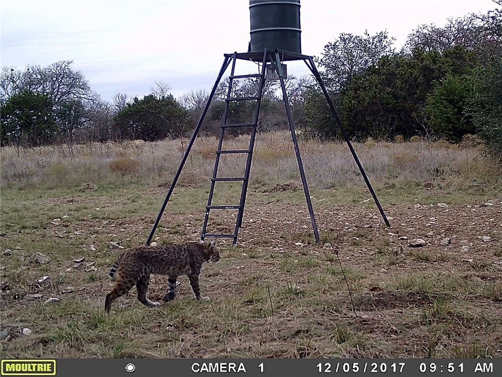 975 Cr 243, Valley Mills, Texas image 39