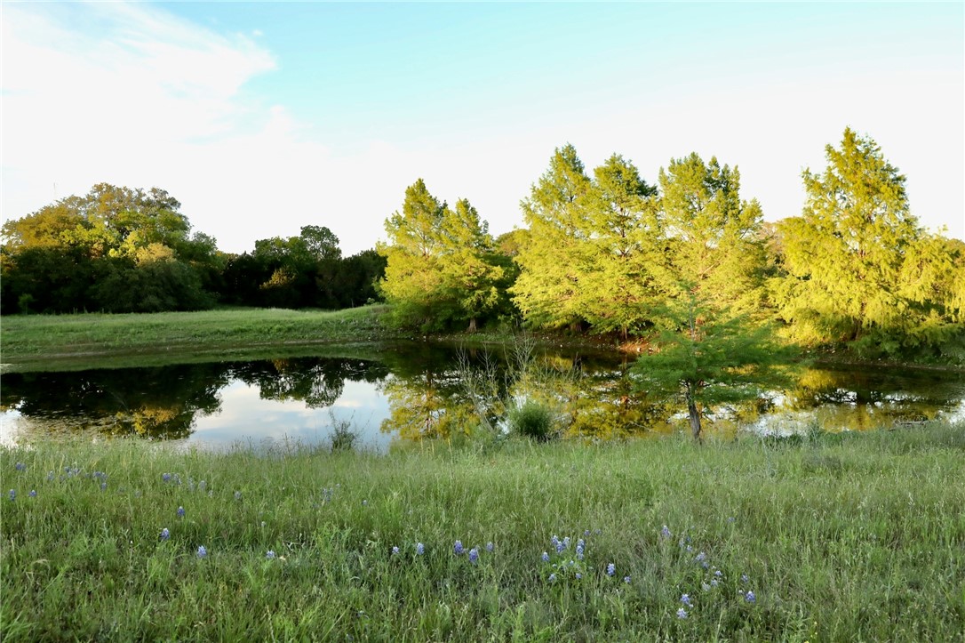 975 Cr 243, Valley Mills, Texas image 9