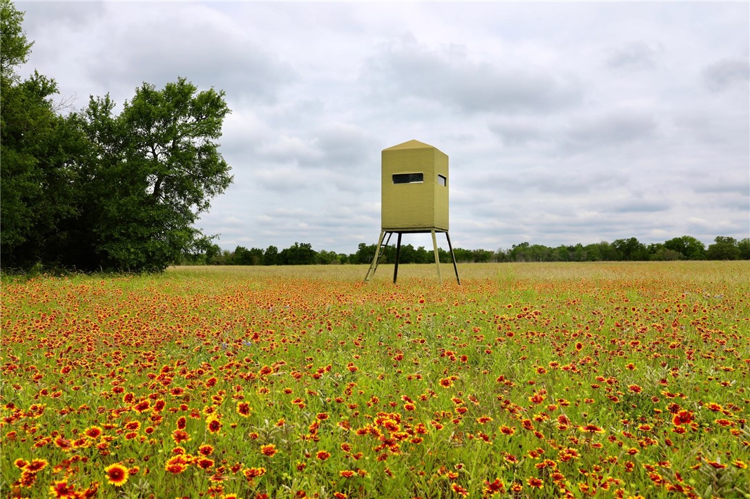 975 Cr 243, Valley Mills, Texas image 31