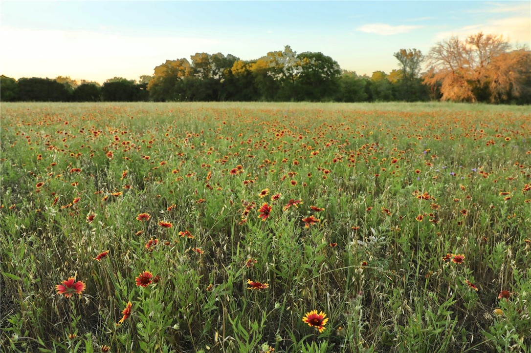 975 Cr 243, Valley Mills, Texas image 14