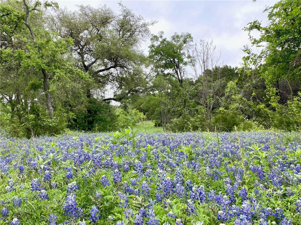 975 Cr 243, Valley Mills, Texas image 29