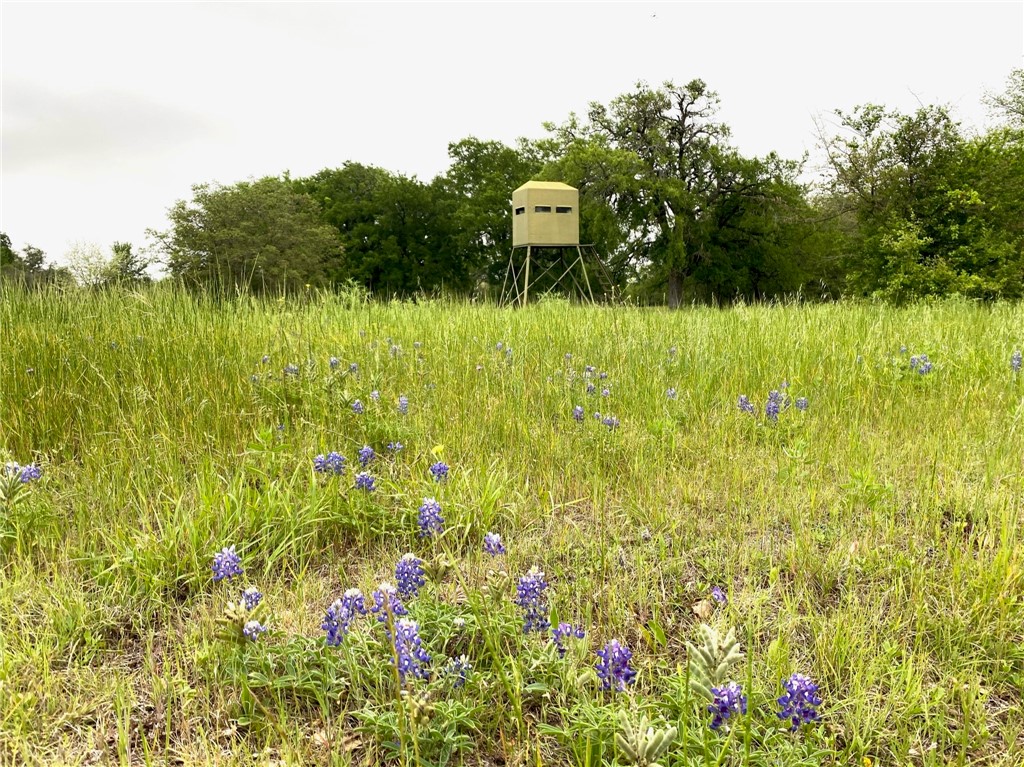 975 Cr 243, Valley Mills, Texas image 30