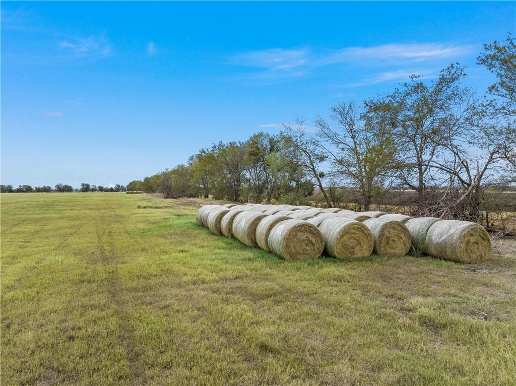 TBD Orion Road, McGregor, Texas image 4