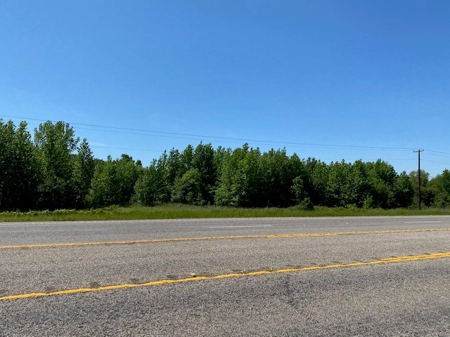 TBD Hwy 31, Chandler, Texas image 1