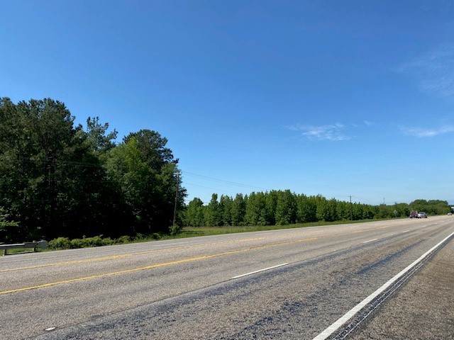 TBD Hwy 31, Chandler, Texas image 3