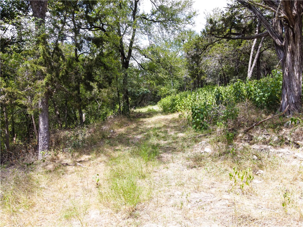 17894 Deer Ridge Road, Moody, Texas image 40