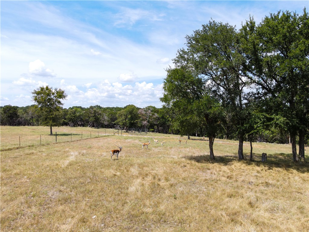 17894 Deer Ridge Road, Moody, Texas image 44