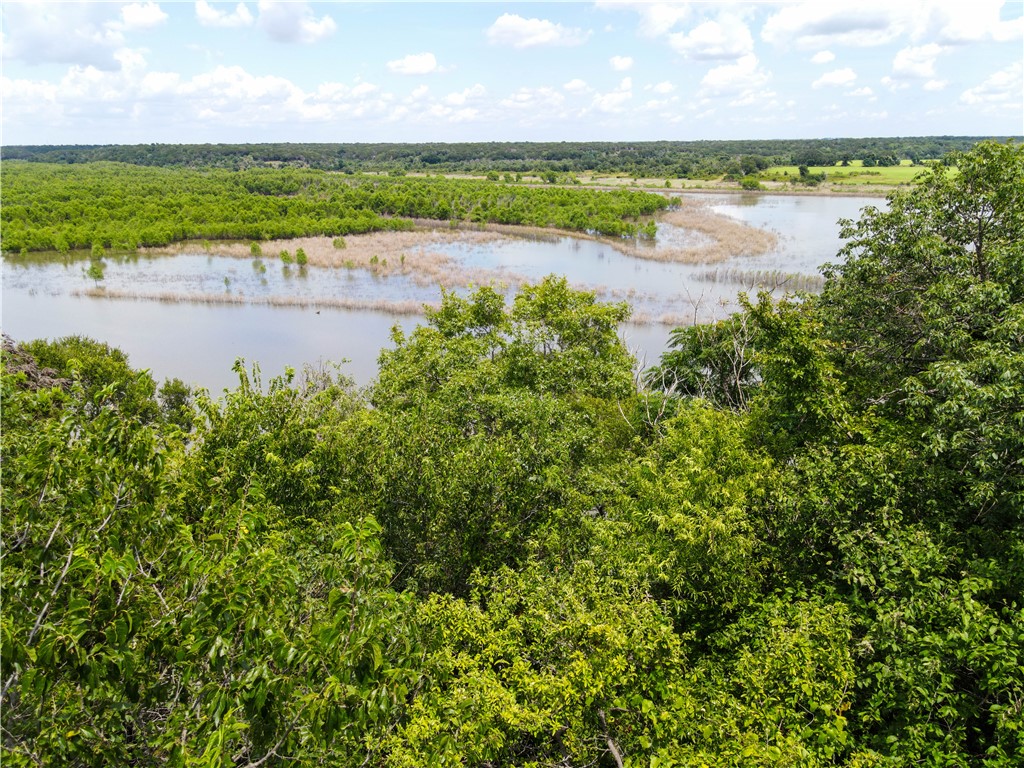 17894 Deer Ridge Road, Moody, Texas image 39