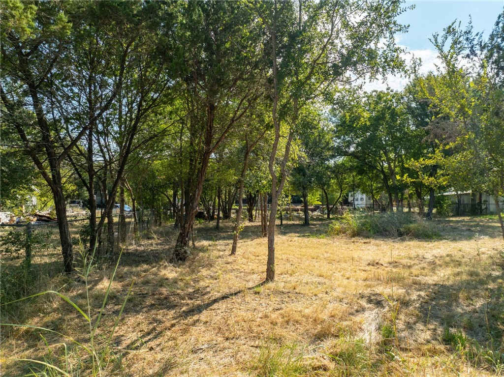 TBD Grand Prairie Drive, Whitney, Texas image 1