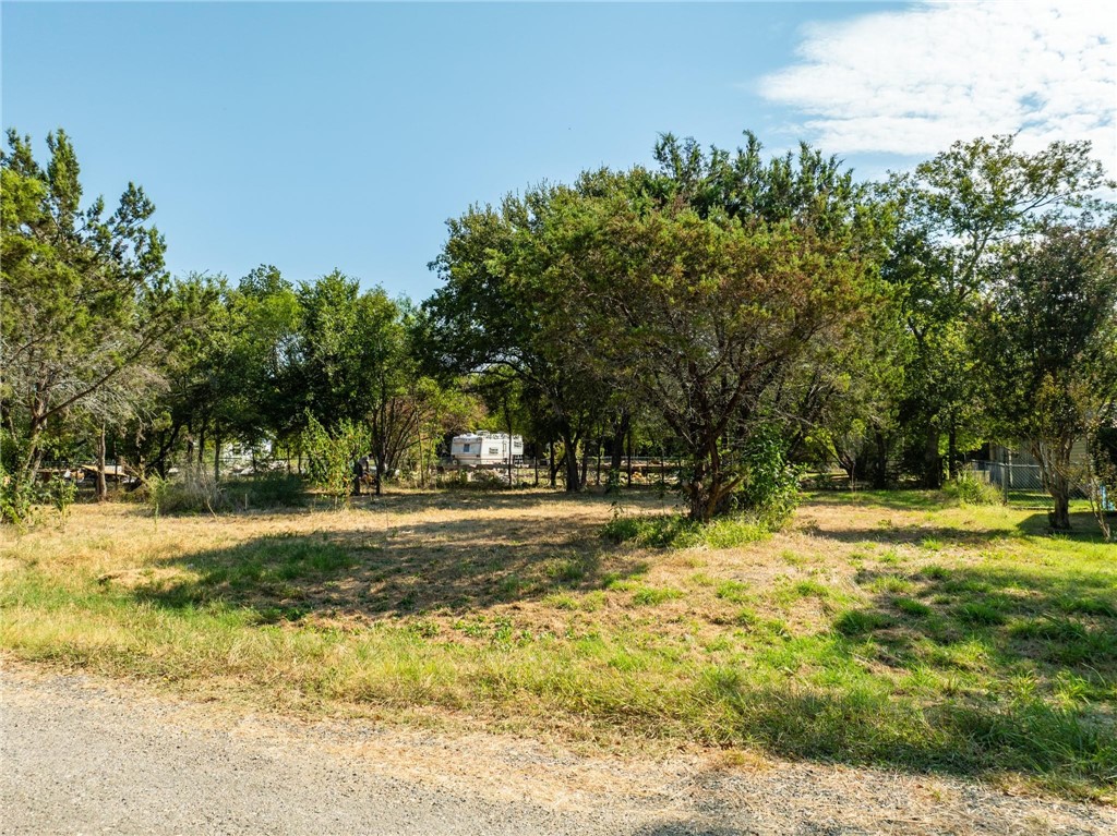 TBD Grand Prairie Drive, Whitney, Texas image 3