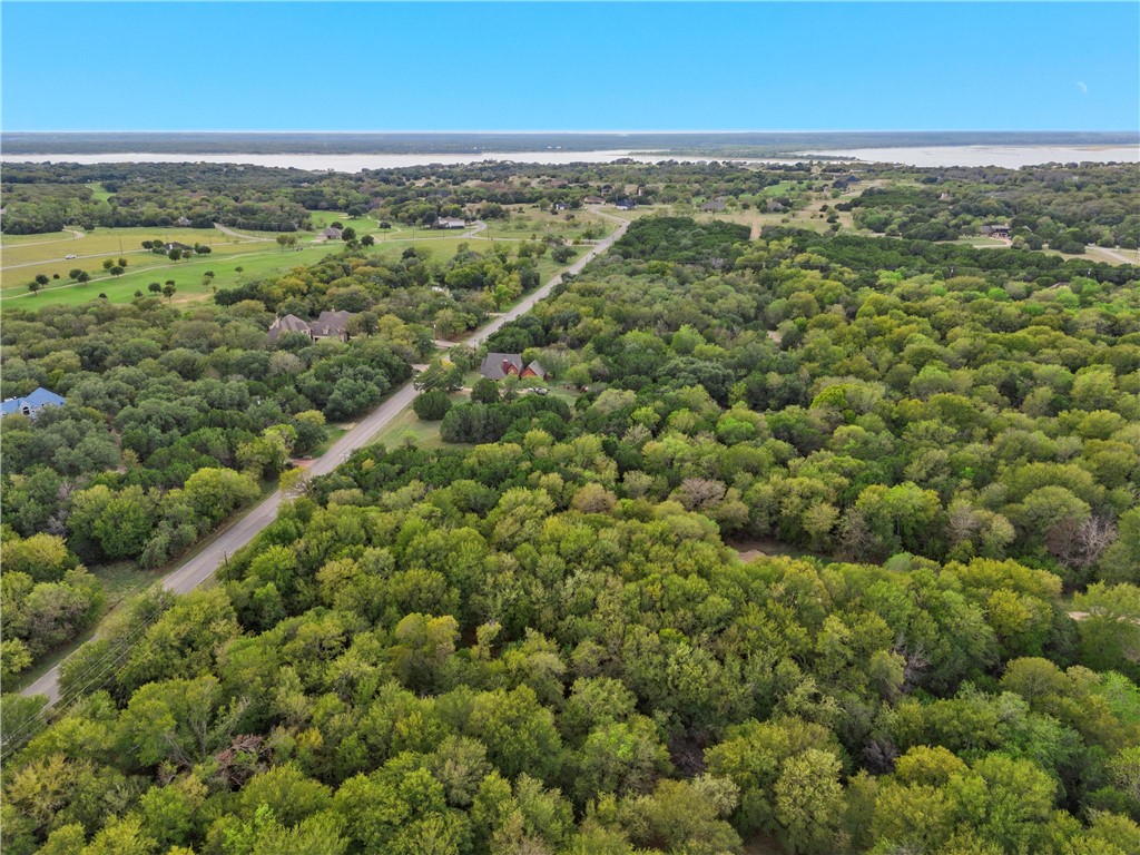 1474 Twin Oak Drive, Whitney, Texas image 3